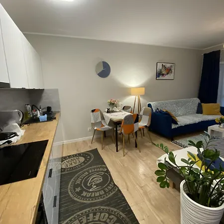 公寓 Mielczarskiego *