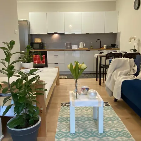 Mielczarskiego * Elblag